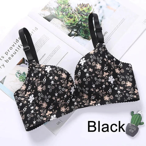 SILKIFY PRINTED COMBO OF 5 BRA  IMPORTED
