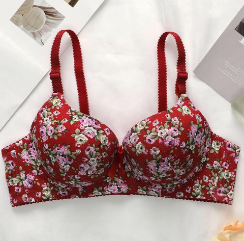 SILKIFY COMBO OF 6 BRA IMPORTED