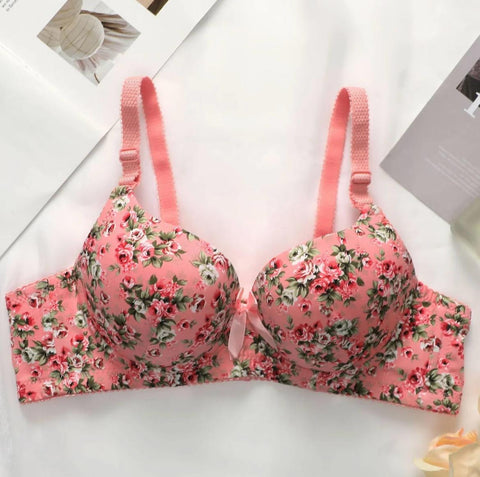 SILKIFY COMBO OF 6 BRA IMPORTED