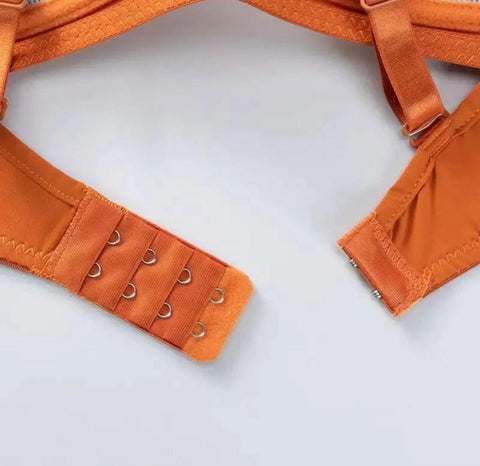SILKIFY COMBO OF 5 BRA IMPORTED
